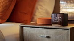 TAR4600 radio ura, DAB+