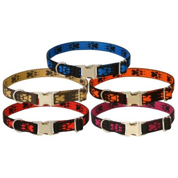 Ovratni trak s kovinsko zaponko 40 x 1,6 cm