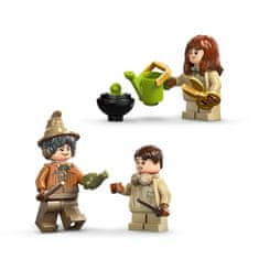 LEGO Harry Potter 76445 Grad Bradavičarka: Rastlinoslovje