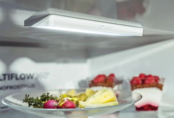 Gorenje RK14DPS4 kombinirani hladilnik