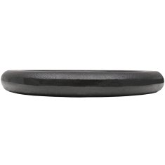 Vidaxl Uteži 2 kosa 2x10 kg lito železo