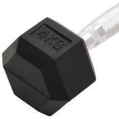 Vidaxl Uteži 2 kosa 8 kg lito železo