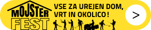 top-banner