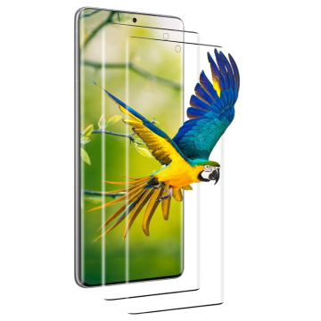 Infostyle Zaščitno steklo za telefon Samsung Galaxy S21 Ultra, 2kos