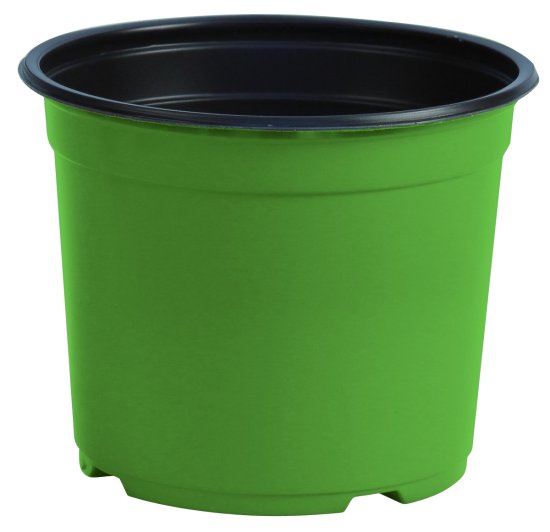 Cvetlični lonček - posoda Desch 14 cm - zelena