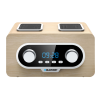 Blaupunkt Prenosni radio PP5.2CR
