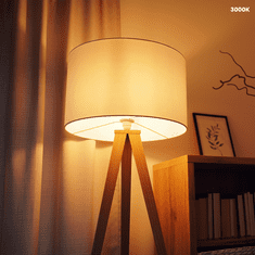 shumee LED žarnica 5W E14 G45 3000K