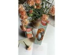 Bolsius Difuzor True Joy Oriental Softness 80ml + dišavne slamice