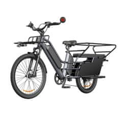 A DECE OASIS 261T električno kolo, tovorno, 250 W, IPS zaslon