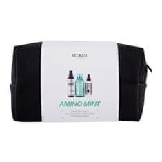 Redken Amino-Mint Shampoo Set šampon Amino-Mint Shampoo 300 ml + sprej za lase Brews Instant Thickening Spray 125 ml + nega za lase Thickening Treatment 90 ml + kozmetična torbica za ženske