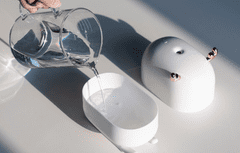 ECOTECH DSHJ-H-009 – vlažilec zraka z LED lučko (bel)
