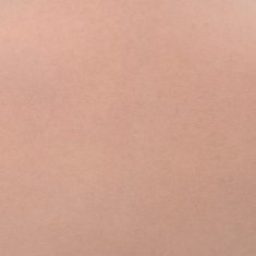 Vidaxl Silikonska prsna blazina naravna D košarica
