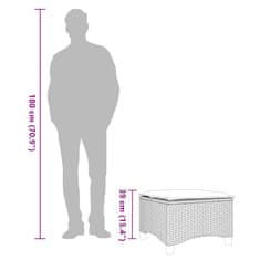 Vidaxl Vrtni stolčki z blazinami 2 kosa Grey 55x55x36 cm Poly Rattan