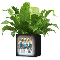 Vidaxl Cvetlično korito Canto Color Square 40 ALL-IN-ONE grafitno