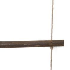 Vidaxl Stenske dekoracije v obliki lestve 2 kosa 30x100cm Naravna veja