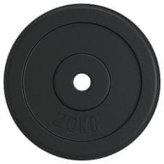 Vidaxl Utež 20 kg lito železo