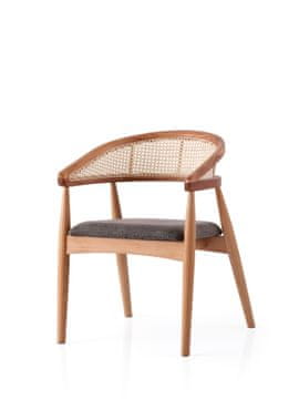 Woody Fashion Chair Atlas - 4353