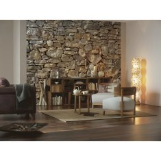 Vidaxl Stenska slika Stone Wall 368x254 cm