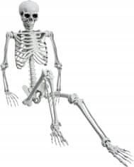 Korbi 165cm Anatomski Skelet Dekoracija Halloween