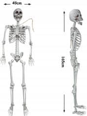 Korbi 165cm Anatomski Skelet Dekoracija Halloween