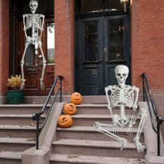 Korbi 165cm Anatomski Skelet Dekoracija Halloween