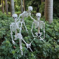 Korbi 165cm Anatomski Skelet Dekoracija Halloween