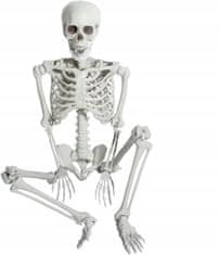 Korbi 165cm Anatomski Skelet Dekoracija Halloween