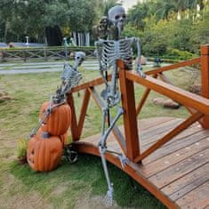 Korbi 165cm Anatomski Skelet Dekoracija Halloween