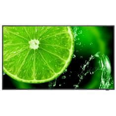 Sharp NEC NEC MultiSync E438 108cm (43") UHD IPS informacijski monitor