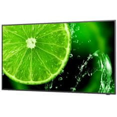 Sharp NEC NEC MultiSync E438 108cm (43") UHD IPS informacijski monitor