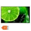 Sharp NEC NEC MultiSync E328-2 80cm (32") FHD IPS 16/7 zvočniki informacijski monitor