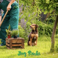 Menforsan Dog Rocks vulkanski kamni 0,2kg