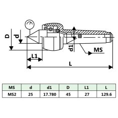 Vidaxl Vrtljiva centrirna konica MT2