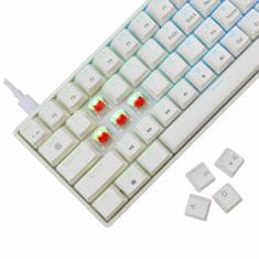 White Shark tipkovnica USB bela/rdeča mehanska stikala SLO SHINOBI-2-W