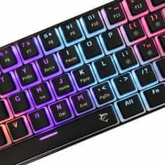 White Shark tipkovnica USB črno/rdeča mehanska stikala US GK-2202 ASHIKO-2B