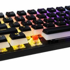 White Shark tipkovnica USB črno/rdeča mehanska stikala US GK-2202 ASHIKO-2B