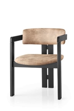 Woody Fashion Chair CO - 024