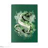 Zapisnik Harryja Potterja A5 - Slytherin akvarel