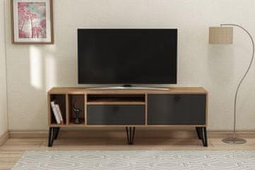 Woody Fashion TV stojalo, Aris - Atlantski bor