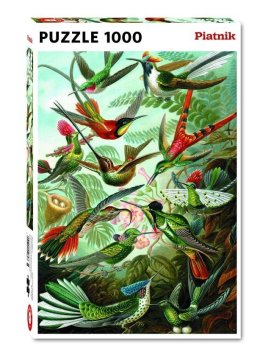 Piatnik Sestavljanka Haeckel: Kolibri 1000 kosov