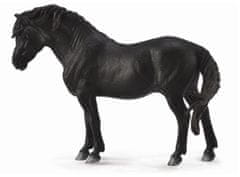 COLLECTA Pony Dartmoor - črn