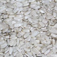 VANROBAEYS Bele sončnice-hrana za ptice1KG