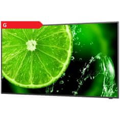 Sharp NEC NEC Multisync E558 139cm (55") UHD IPS informacijski monitor