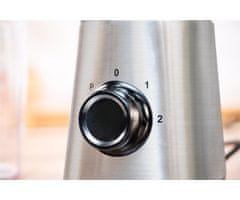 Alpina smoothie mešalnik, 300W, 600ml + 300ml