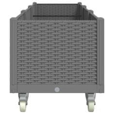 Vidaxl Cvetlično korito s kolesi svetlo sivo 240x50x54 cm PP