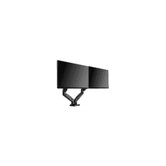 IcyBox Dvojni namizni nosilec za monitorja do diagonale 27