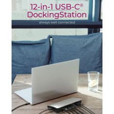 IcyBox IB-DK2408-C 11-in-1 USB Type-C DockingStation priklopna postaja za prenosnik s Power Delivery