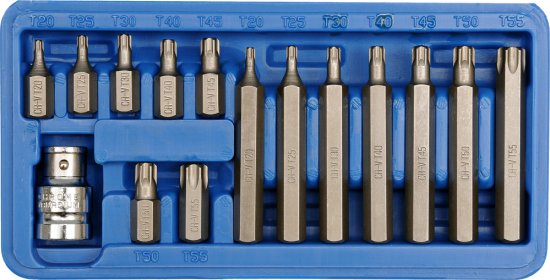 Eprim KOMPLET BITOV TORX T20-T55 15 KOSOV