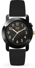 Ice-Find 024917