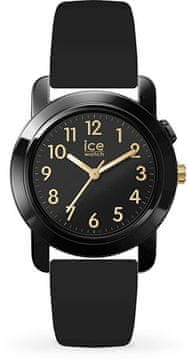 Ice-Find 024917